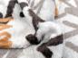 Preview: Cuddle Fleece Schrift Grau/Braun