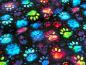 Preview: Eigenproduktion Baumwolljersey Neon Pfötchen auf Schwarz