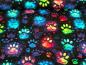 Preview: Eigenproduktion Baumwolljersey Neon Pfötchen auf Schwarz