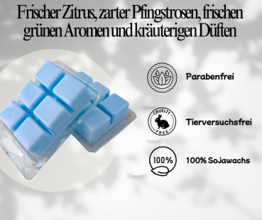 Duftwachs Melts Aurora Zitrusfrüchten, Pfingstrose Grüne Kräuter