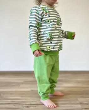 Eigenproduktion Baumwolljersey Kleiner Dino auf Grün -N-