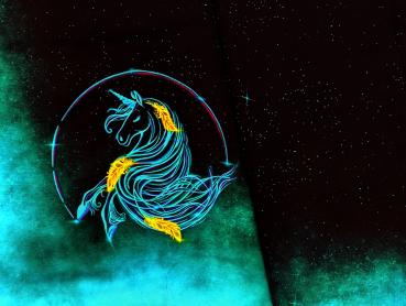 Eigenproduktion Panel Magic Neon Unicorn 75x 165cm