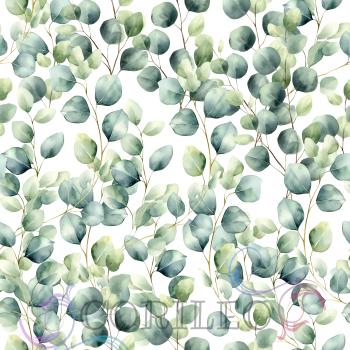 VB - Eigenproduktion Eukalyptusblätter auf Weiß