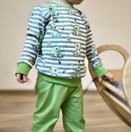 Eigenproduktion Baumwolljersey Kleiner Dino auf Grün -N-