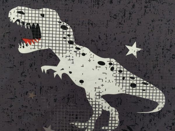 Baumwolljersey Panel ca 100 cm Dino Rex grau