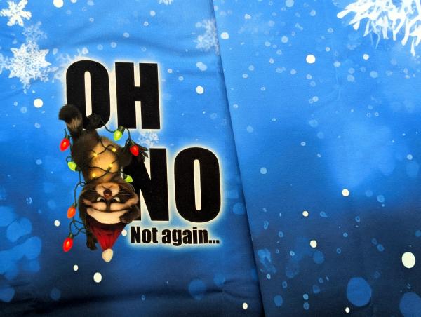 Eigenproduktion Panel French Terry Waschbär Oh No Winterdesign auf Blau 80 x 165 cm