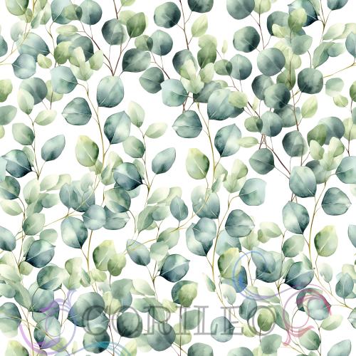 VB - Eigenproduktion Eukalyptusblätter auf Weiß