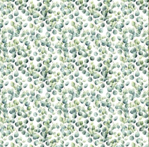 VB - Eigenproduktion Eukalyptusblätter auf Weiß