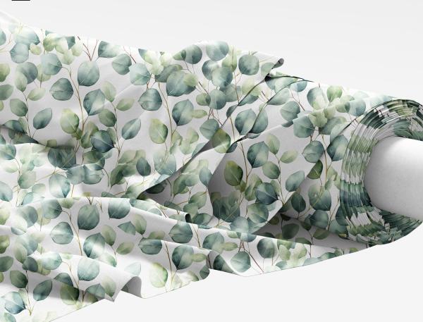 VB - Eigenproduktion Eukalyptusblätter auf Weiß