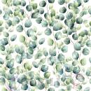 VB - Eigenproduktion Eukalyptusblätter auf Weiß