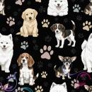 VB - Eigenproduktion Pfoten Hunde