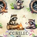 VB - Eigenproduktion Waschbär